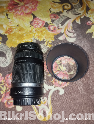 55-250 zoom lens